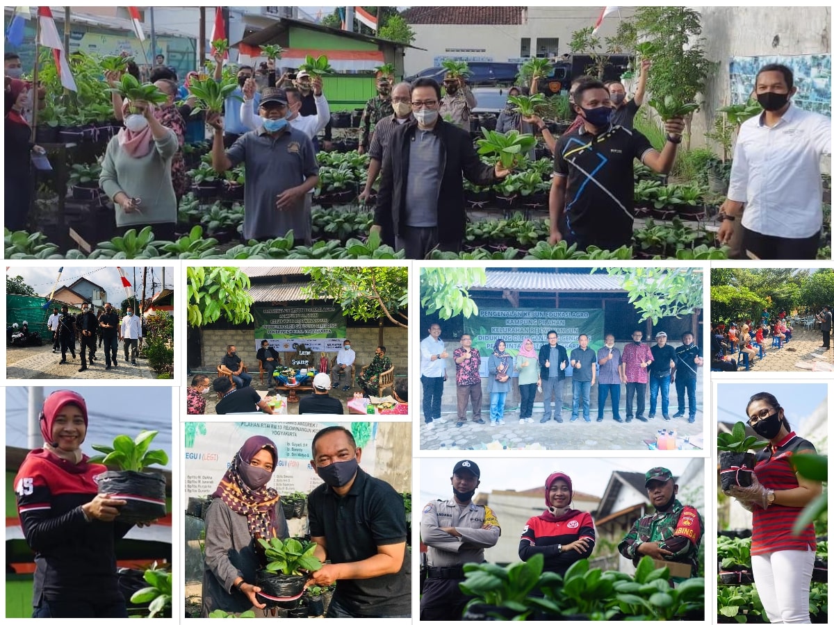Pengenalan Kebun Edukasi Agro Kampung Pilahan Kelurahan Rejowinangun Kecamatan Kotagede