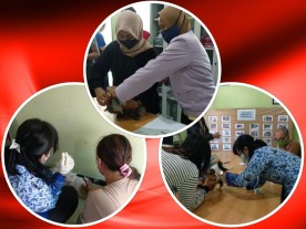 Pelaksanaan Vaksinasi Rabies dari Dinas Pertanian dan Pangan di Kelurahan Rejowinangun