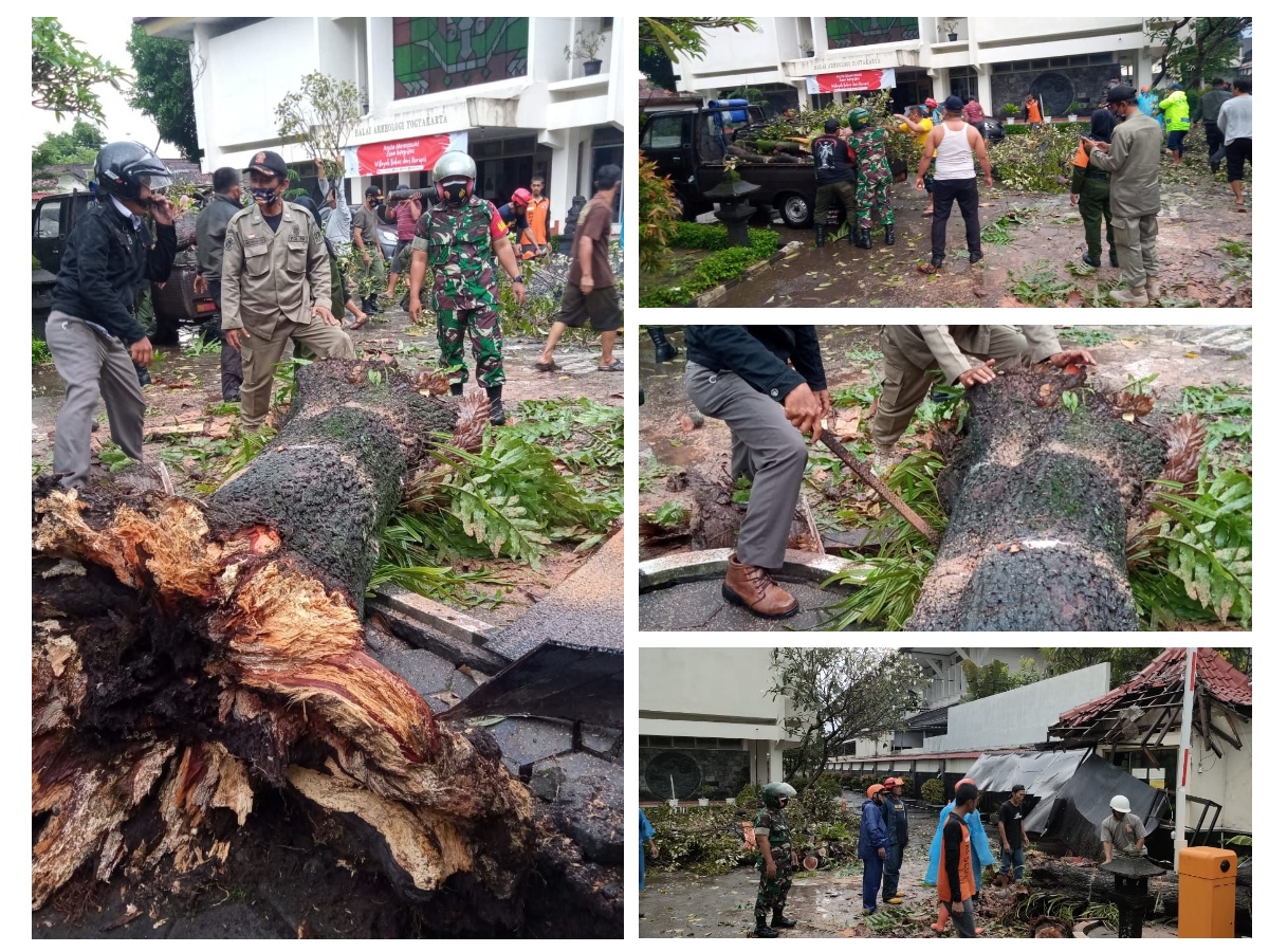 Penanganan Pohon Tumbang di Balai Arkeologi Jl.Gedongkuning Selatan